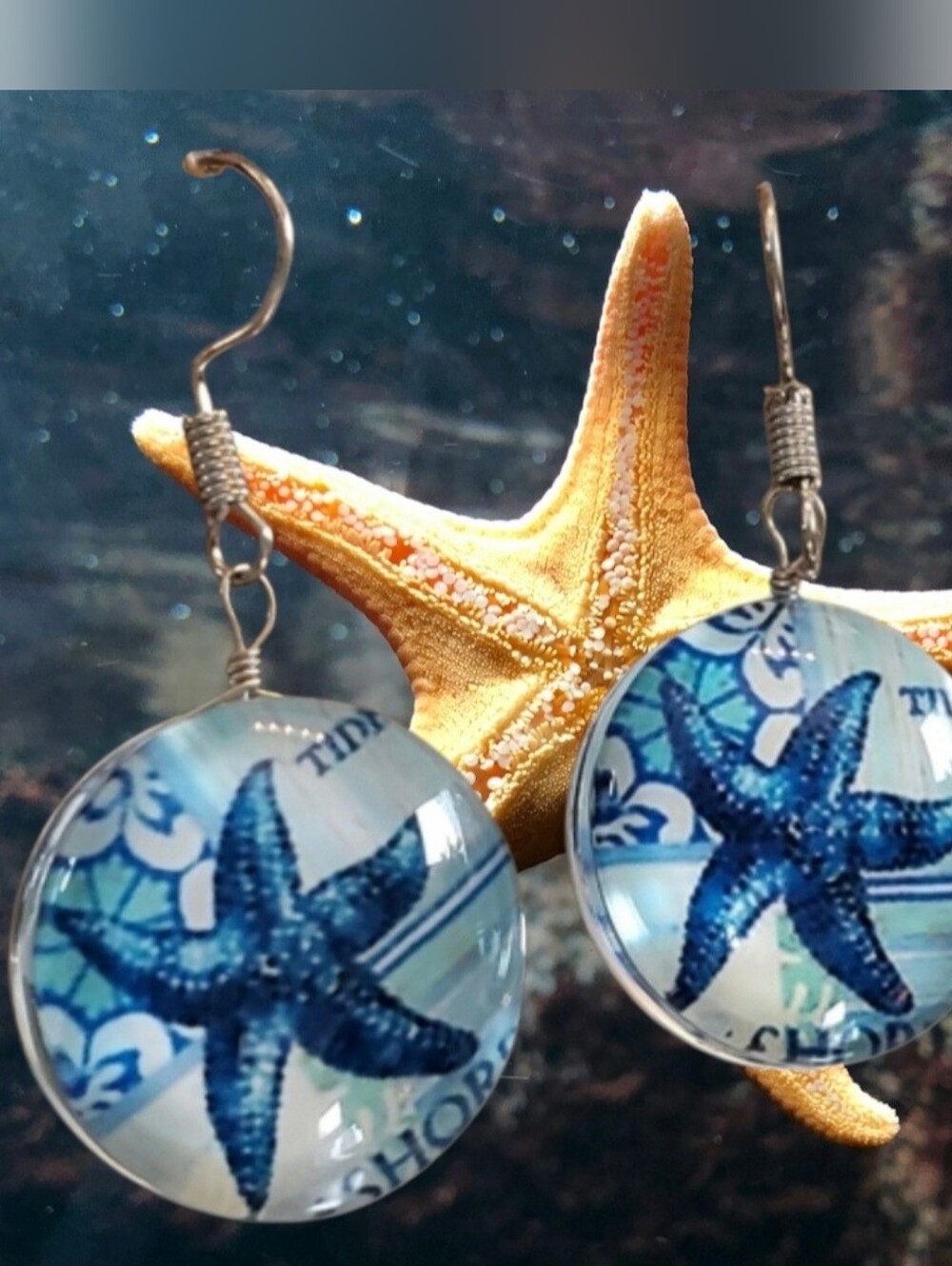 Glass Dome Star Fish Earrings NEW